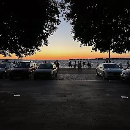 Deep Blue Next To The Sea Organs * 자다르