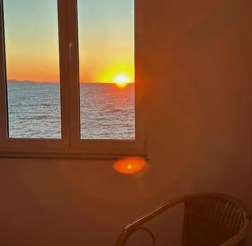 Deep Blue Next To The Sea Organs זאדאר